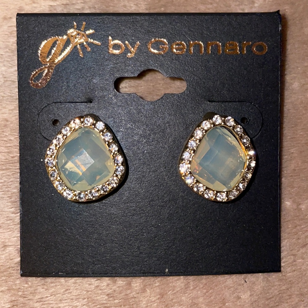 Post Earrings